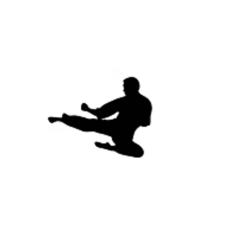 Performance Martial Arts Chirnside Park logo
